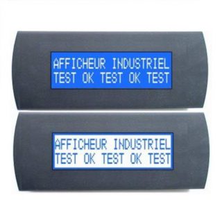 Petit Afficheur Alphanumérique 2 lignes 20 Caractères - ADEL Instrumentation